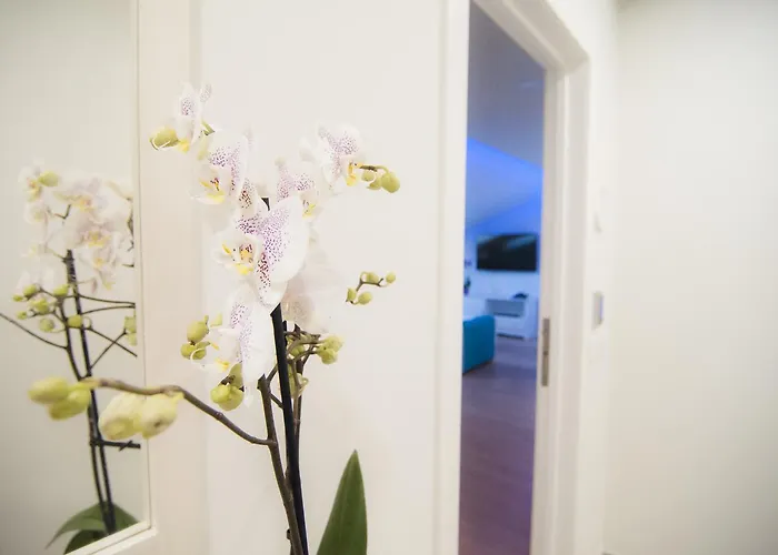 Apartamento Rodeos Luxury