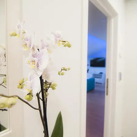 Apartamento Rodeos Luxury